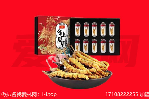 平房虫草回收